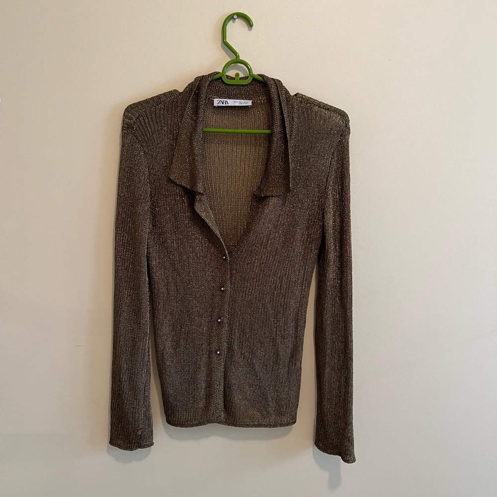 Zara metallic shirt